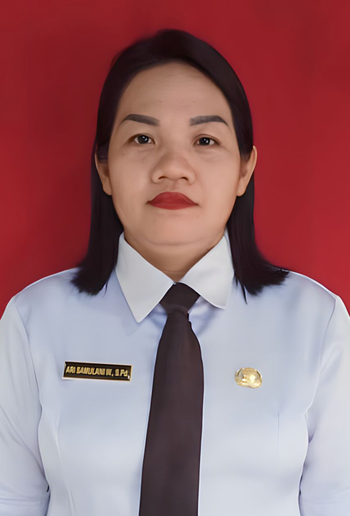 ARI SAMULANI WAWEI, S.Pd, Gr